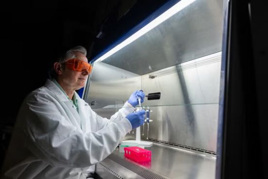 Ostrowski’s lab aims to advance a cure for HIV by focusing on T cells that can target viral reservoirs (photo by Johnny Guatto)
